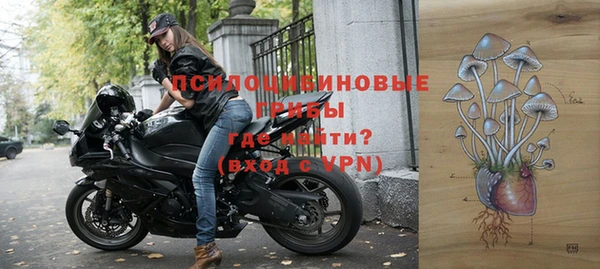 spice Баксан